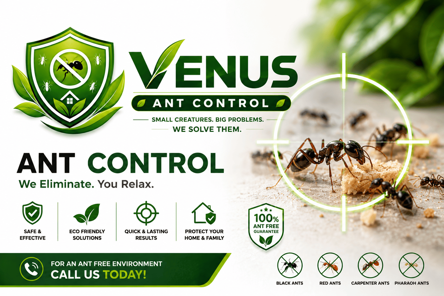 Ant Control Services in Mumbai