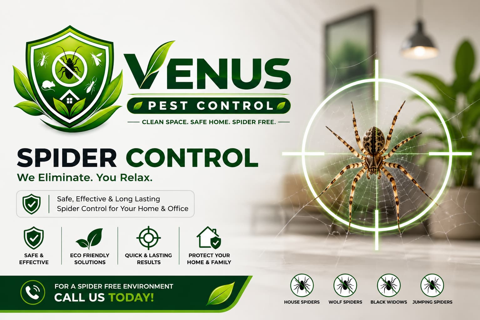 Spider Control Service in Mumbai