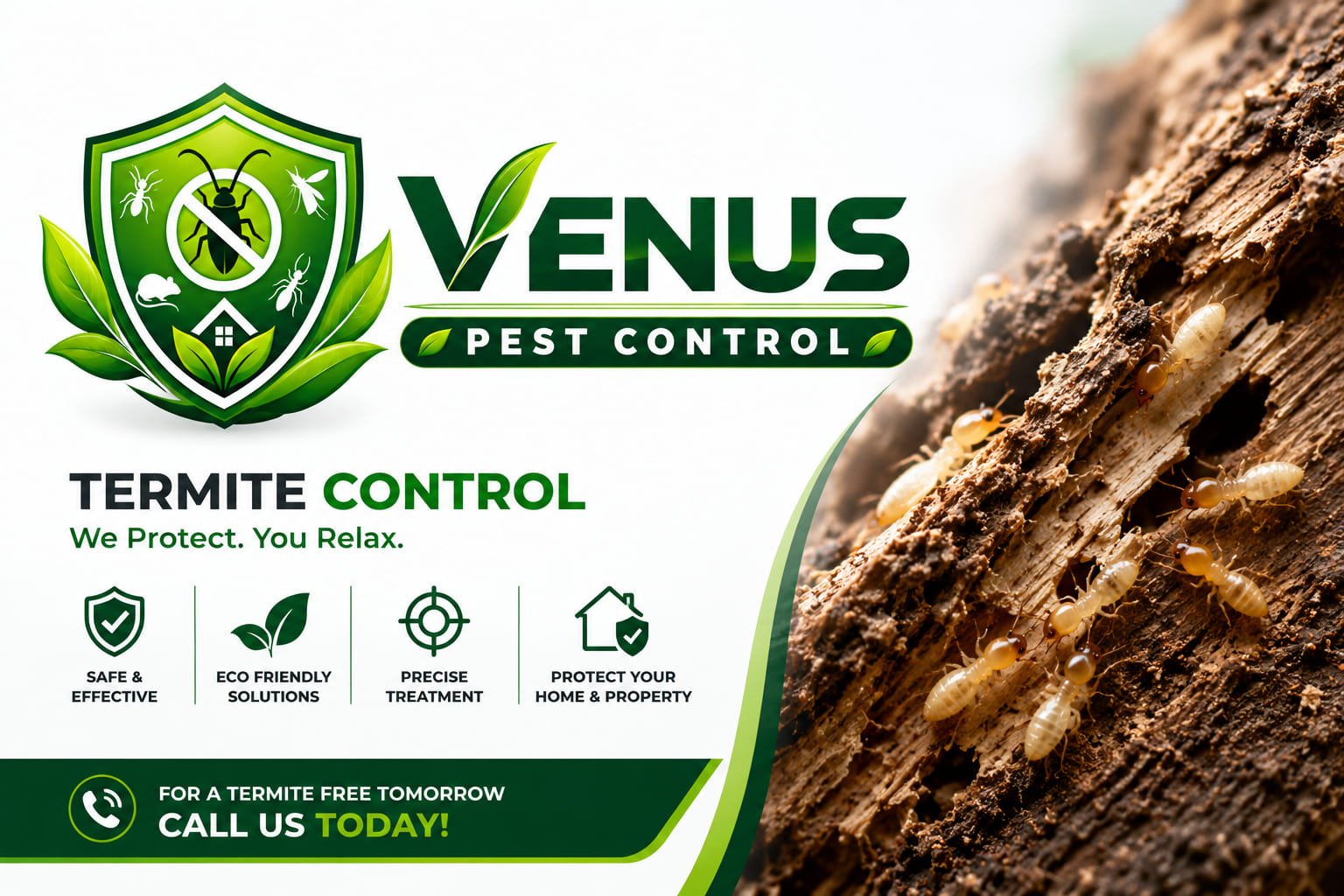 Termite Control Services in Mumbai